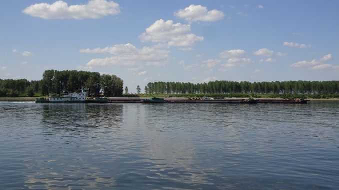 DSC08503